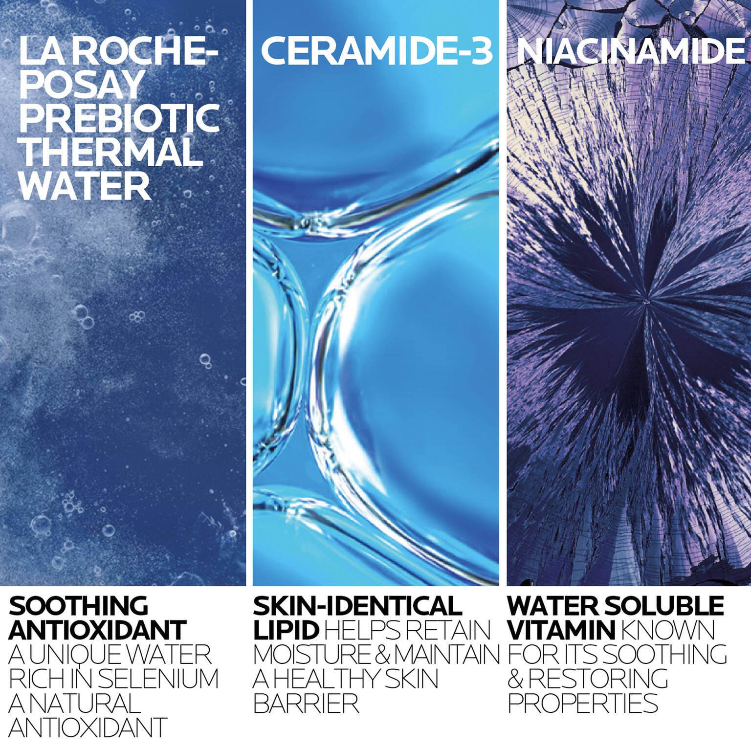 toleriane-purifying-foaming-cleanser-and-toleriane-double-repair-face-moisturizer-s0 2-TolerianeCleanserUSRefill-400ml-ATF Ingredient Science-Rev.jpg