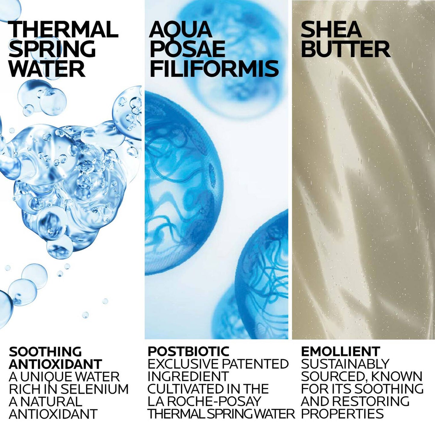 lipikar-wash-ap-moisturizing-body-and-face-wash-p6 Lipikar-Wash-ingredients_1500x1500-REV.jpg